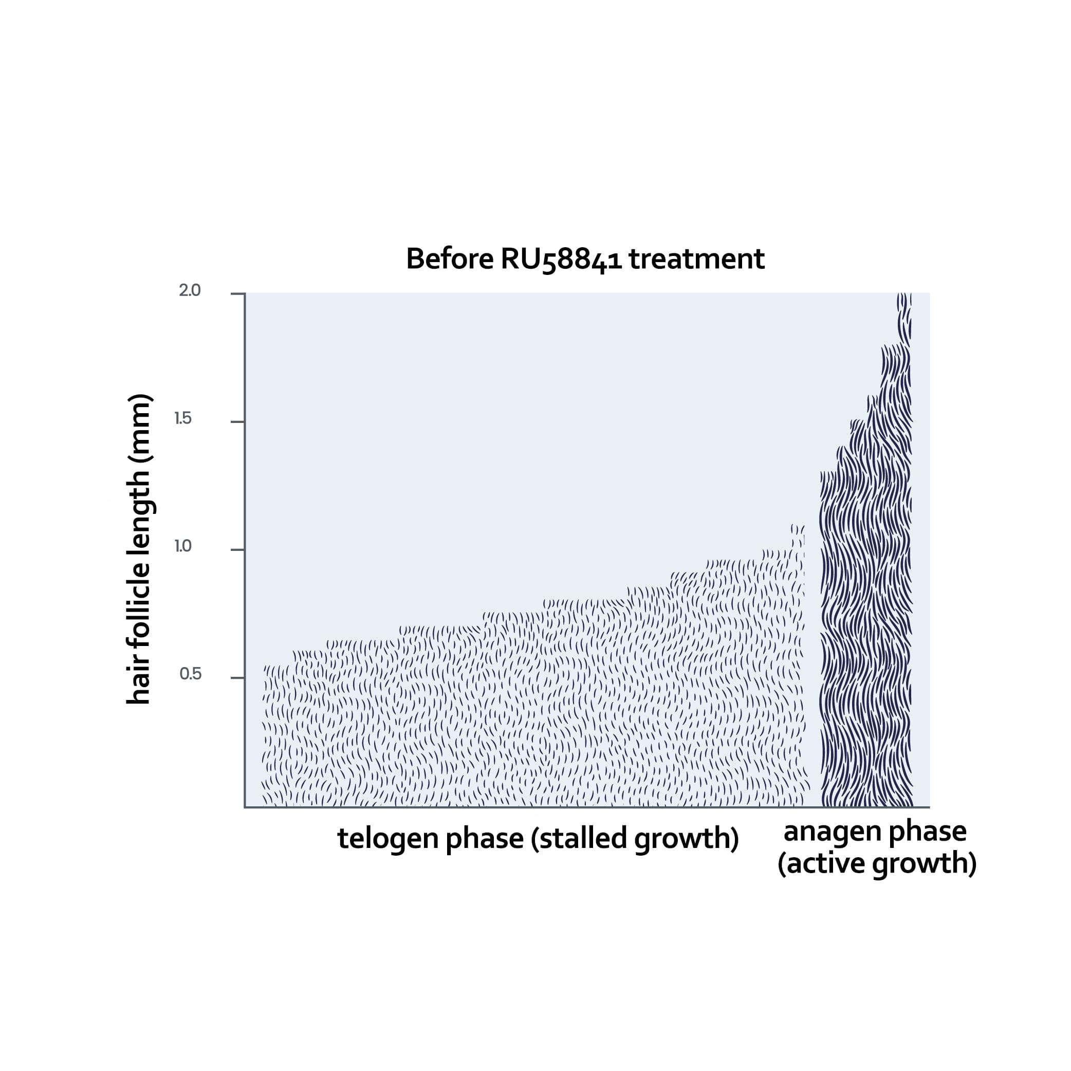 RegenRx vs Nothing
