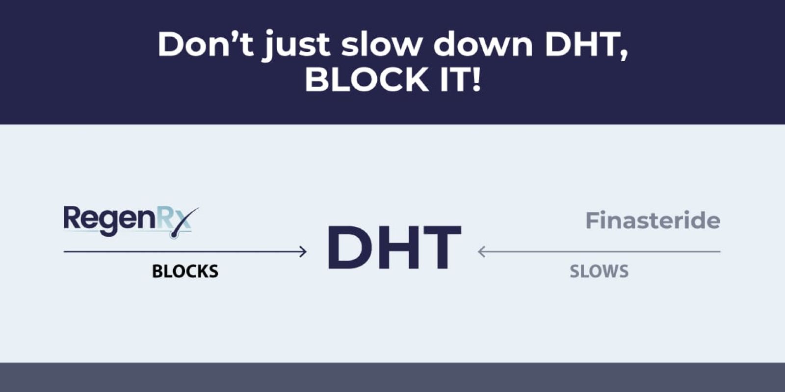 RegenRx RU58841 Blocks DHT